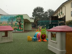 neve20193