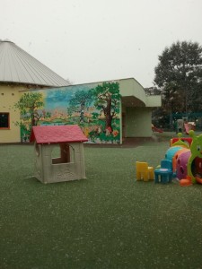 neve20194